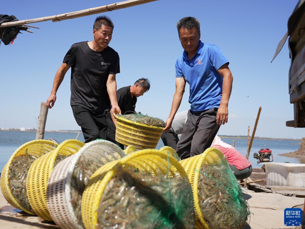 捕鱼赢现金10提现